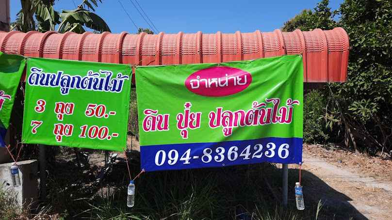 นกหงษ์หยกตลาดต้นไม้ บ้านบึง