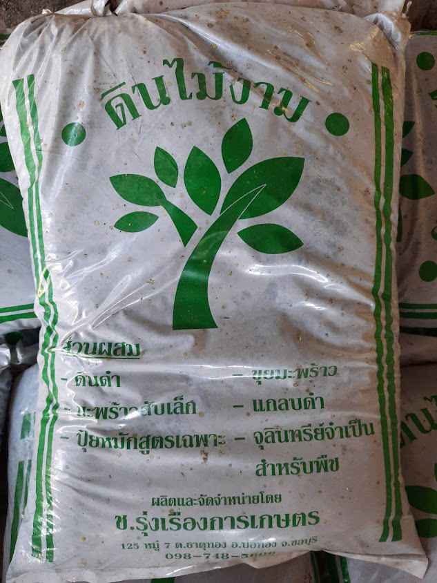 นกหงษ์หยกตลาดต้นไม้ บ้านบึง - 2