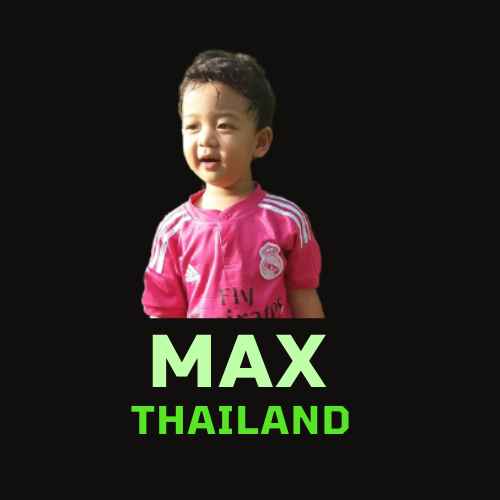 นฤมนต์ ค้าไม้ - 2