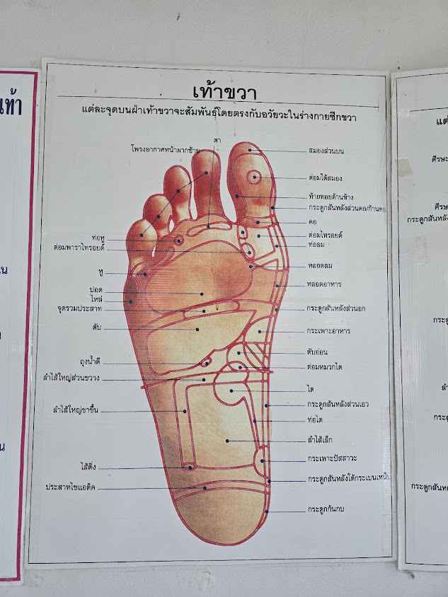 นวดกดจุดฝ่าเท้า หมอสัมพัส