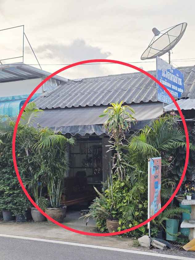 นวดจับเส้น รักษา โดยหมอจง ลูกศิษย์หมออ่อนศรี - 1