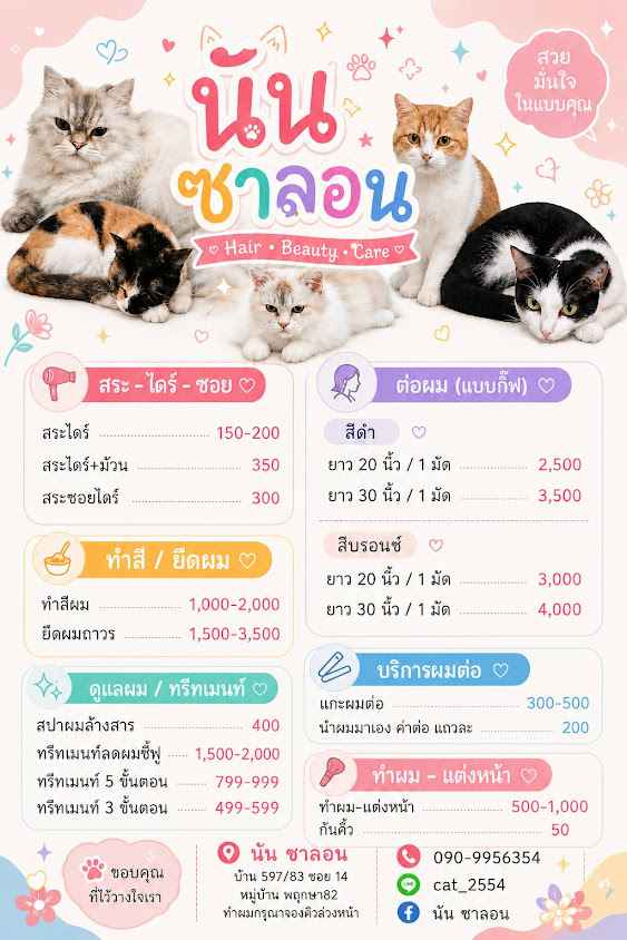 นัน ซาลอน - 2