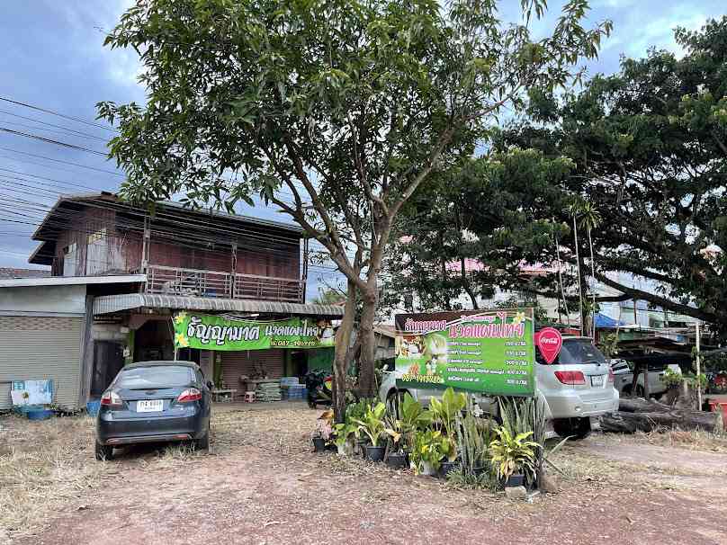 นานานวดเพื่อสุขภาพ - 3