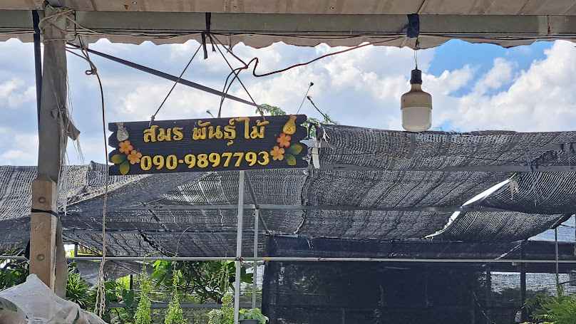 นาย&เหนือพันธุ์ไม้ - 4