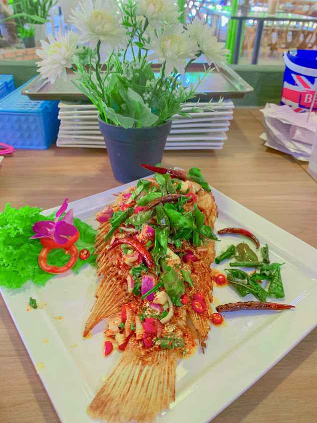 นิยมบาร์ เชียงใหม่ | NIYOMBAR CHIANGMAI - 3