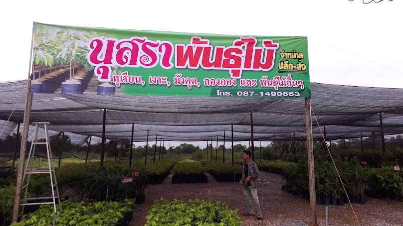 นุสราพันธุ์ไม้