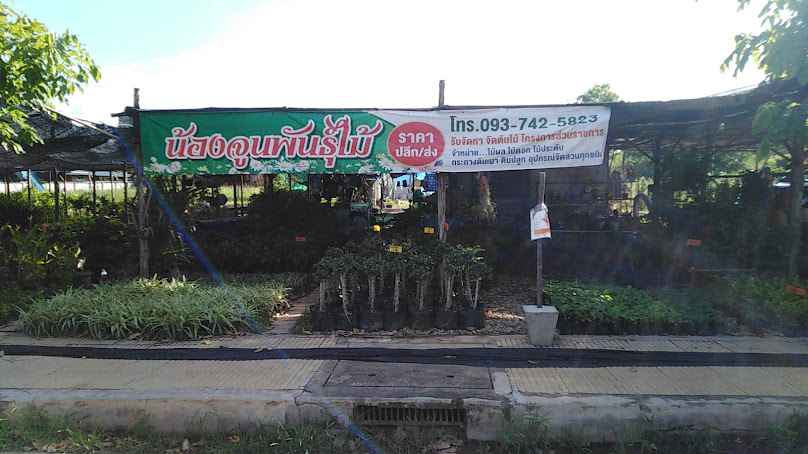 น้องจูนพันธุ์​ไม้ - 2