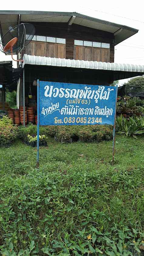 น้องมะนาวพันธุ์ไม้ - 4