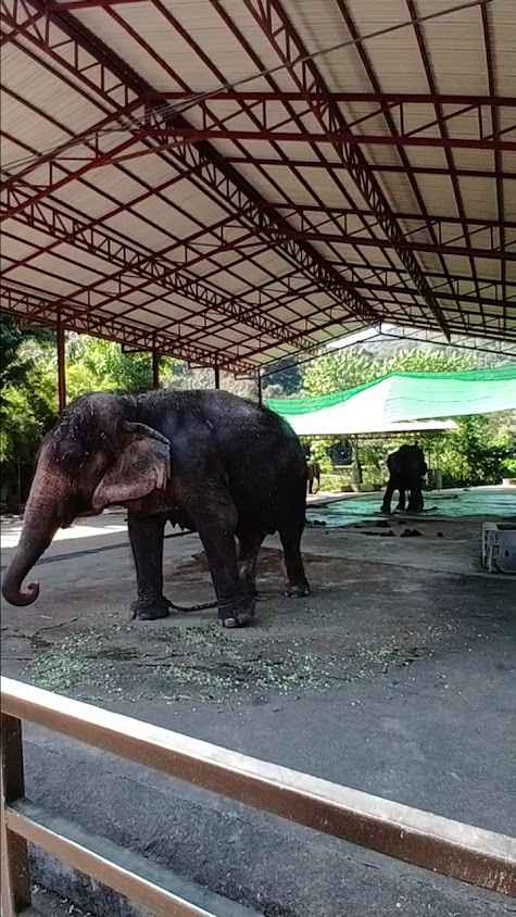 บริการรถตู้ เช่า เหมา ทั่วไทย อิสระทัวร์ - 4