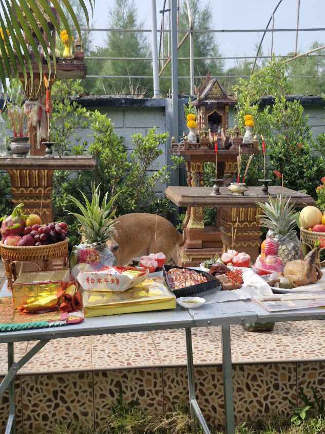 บริษัทชินวุฒิ คอนสตรัคชั่น 2015 จำกัด รับเหมาสร้างบ้านและอาคาร - 3