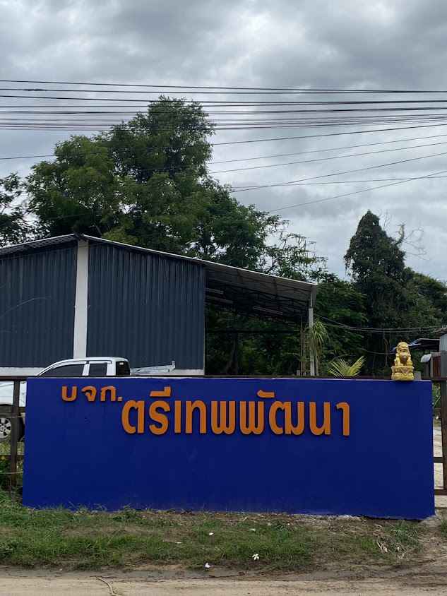 บริษัทตรีเทพพัฒนาจำกัด