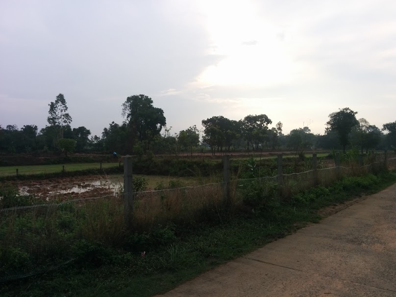 บริษัท พีเอ็นออกแบบสร้างบ้าน จำกัด - 3