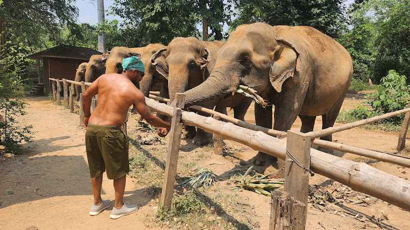 บริษัท รถตู้เช่า อัลพาร์ดวีไอพี จำกัด - 4