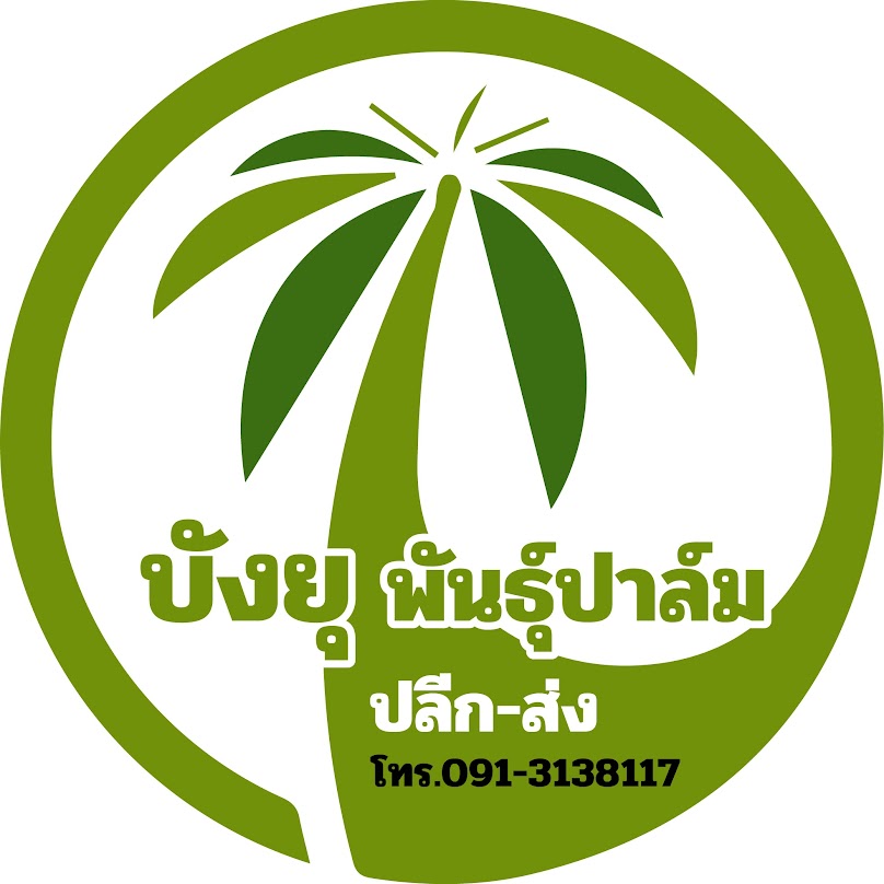 บังยุ พันธุ์ปาล์ม - 4