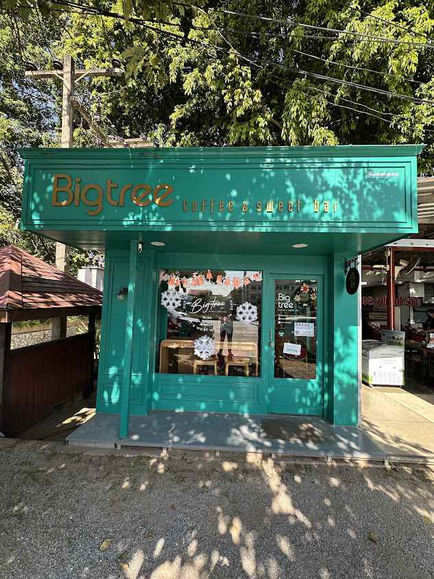 Big tree coffee bar