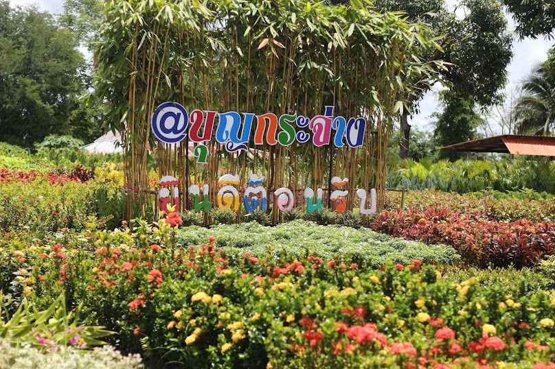 บุญกระจ่างพันธุ์ไม้