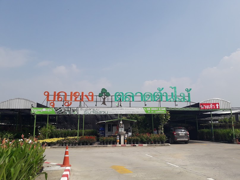 Boonyong Plant Market - 3