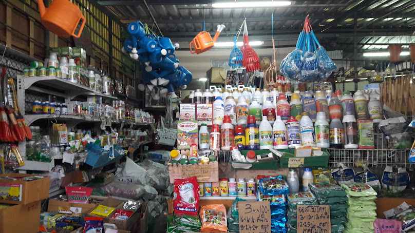 Boonyong Plant Market - 4