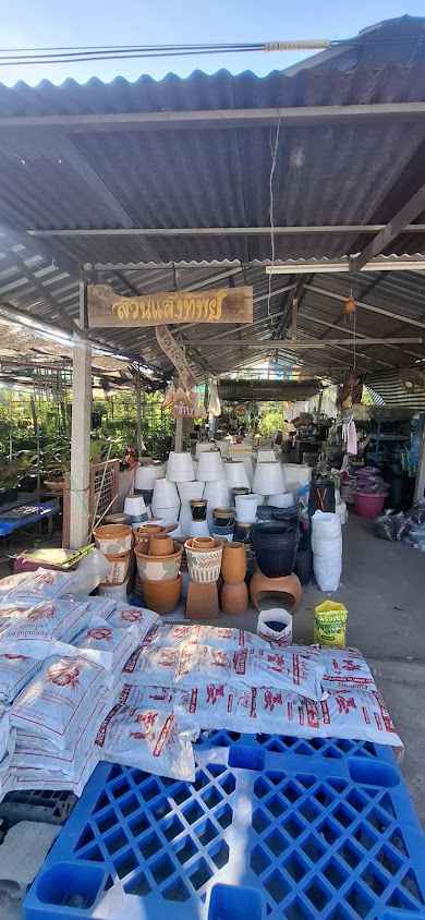 บุญอนันต์พันธุ์ไม้ - 2