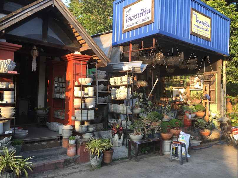 บุ๋มบิ๋มพันธุ์ไม้ตลาดคำเที่ยง - 3
