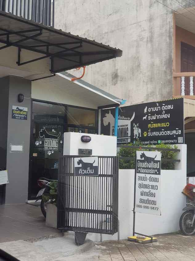 บ้านช่างท๊อป ด๊อกอาร์ท - 2