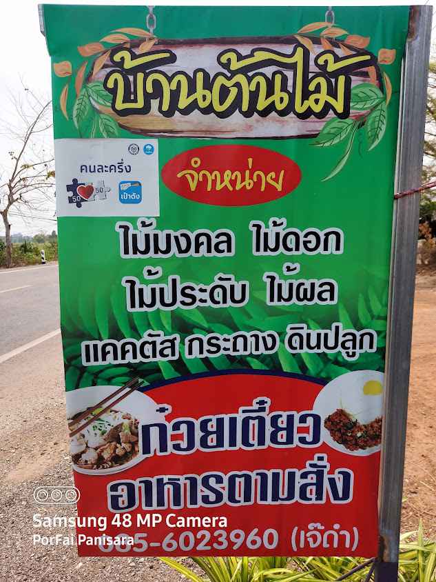บ้านต้นไม้เจ๊ดำ