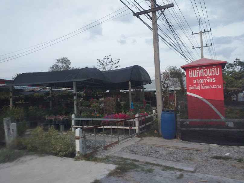 บ้านต้นไม้เจ๊ดำ - 3