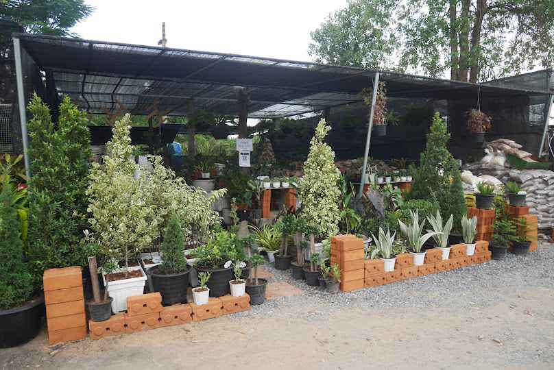 บ้านปลูกรัก ลานไม้มิตรภาพ ขอนแก่น - 2
