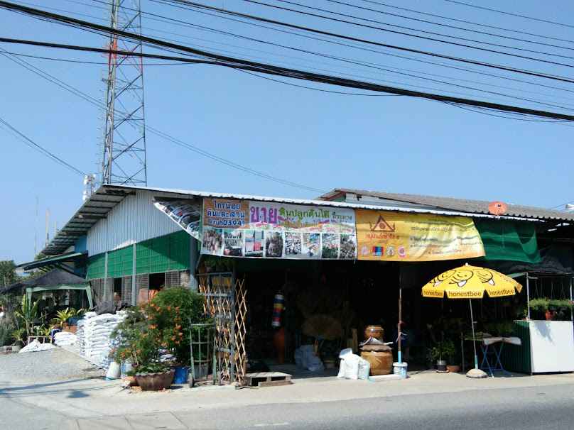 บ้านรักษ์ต้นไม้(ขายต้นไม้) - 3