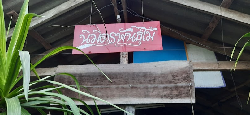 บ้านรักษ์ต้นไม้ตรัง - 4
