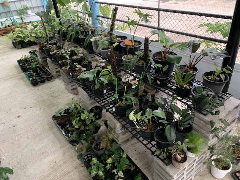 บ้านราชบุรีคลีนนิ่ง เซอร์วิส