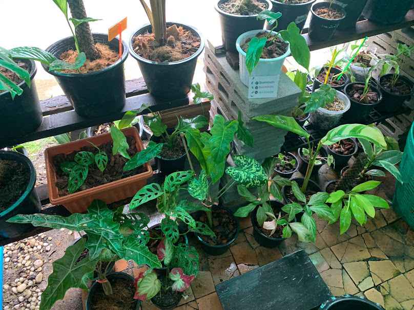 บ้านราชบุรีคลีนนิ่ง เซอร์วิส - 3