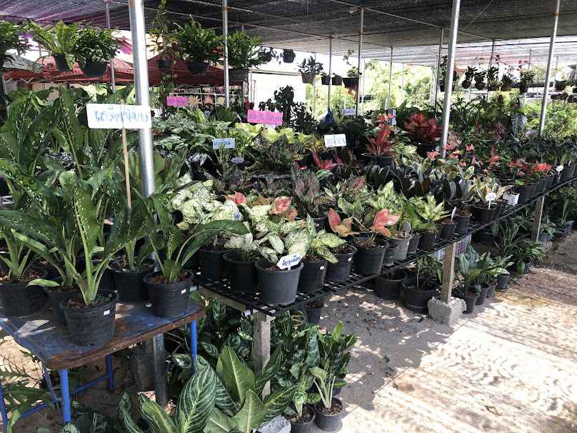 บ้านราชบุรีคลีนนิ่ง เซอร์วิส - 4