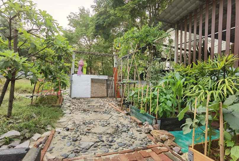 บ้านหาไมตรี ณ.หนองโพธิ์ - 2