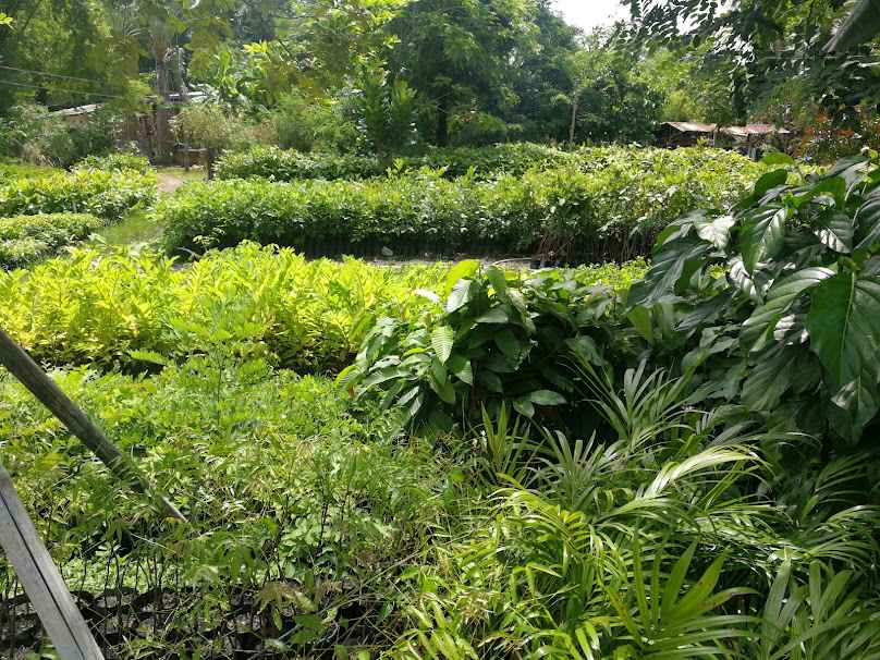 บ้านหาไมตรี ณ.หนองโพธิ์ - 3