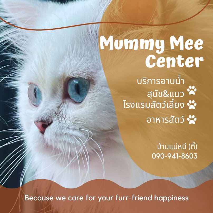 บ้านแม่หมี โรงแรมสัตว์เลี้ยง มีบริการอาบน้ำสุนัขและเเมว