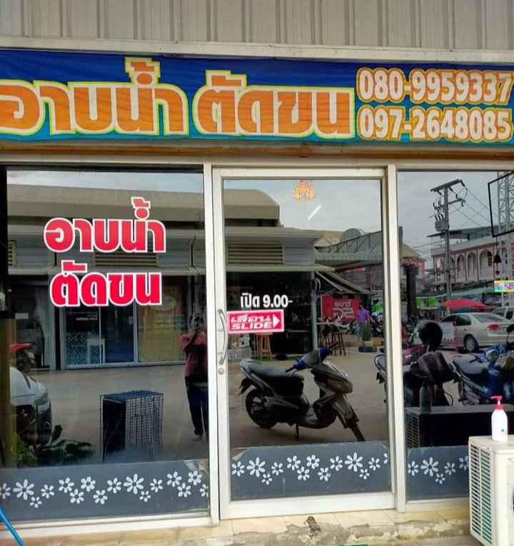 บ้านแม่หมี โรงแรมสัตว์เลี้ยง มีบริการอาบน้ำสุนัขและเเมว - 4