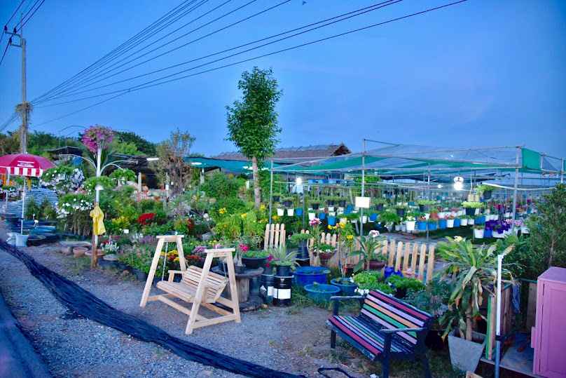 บ้านไม้ประดับ - 1