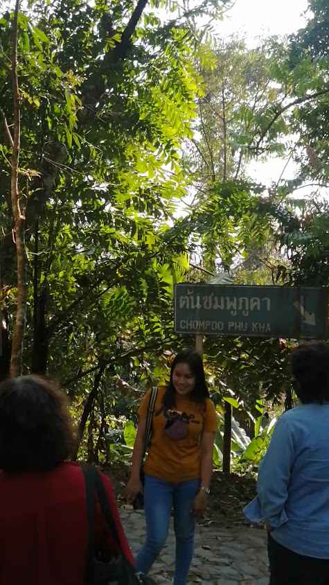 บ๊อบบี้van รถตู้เช่าน่าน เที่ยวน่าน - 2