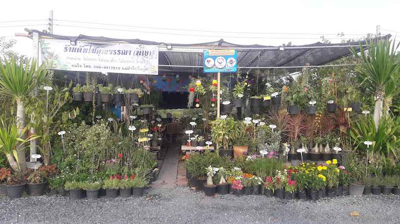 ปาล์มมี่ การ์เด้น ตลาดต้นไม้ประตูกรุงเทพ - 4