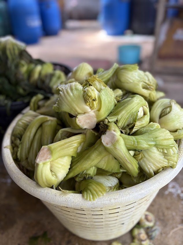 ผักกาดดองตราแม่บ้าน - 4