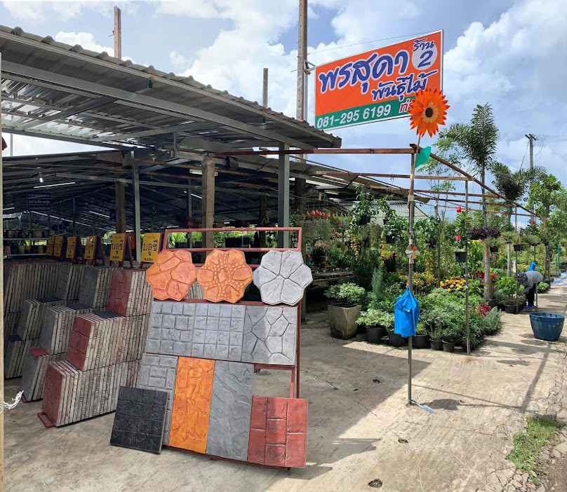 พรสุดาพันธุ์ไม้ ท่าช้าง - ร้าน2