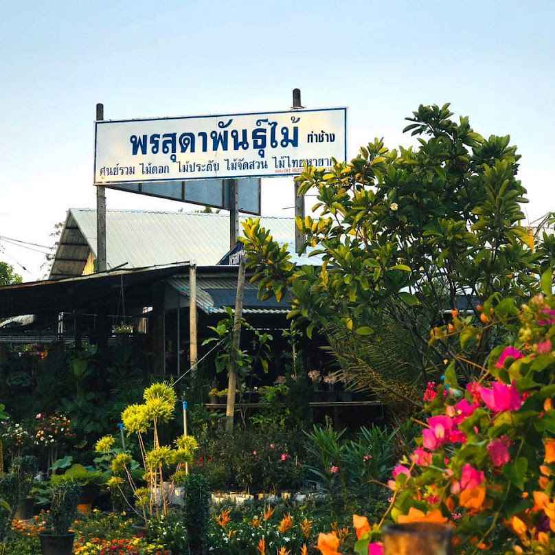 พรสุดาพันธุ์ไม้ ท่าช้าง - ร้าน2 - 2