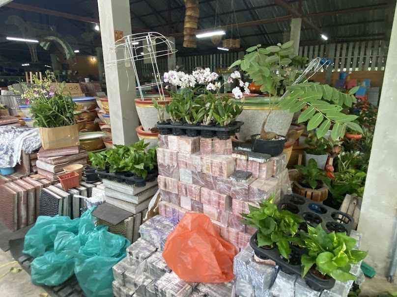พรสุดาพันธุ์ไม้1 ถนนตากสิน จันทบุรี - 4