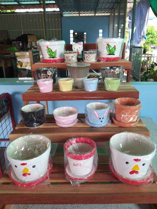 พลอยเซรามิก - 3