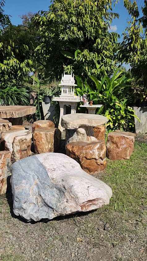 พันธุ์ไม้บ้านสวน สันผักหวาน - 2