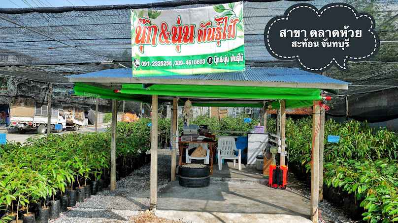 พันธุ์ไม้ ห้วยสะท้อน - 3