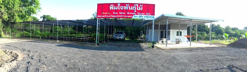 พิมใจพันธุ์ไม้ สิงห์บุรี - 2