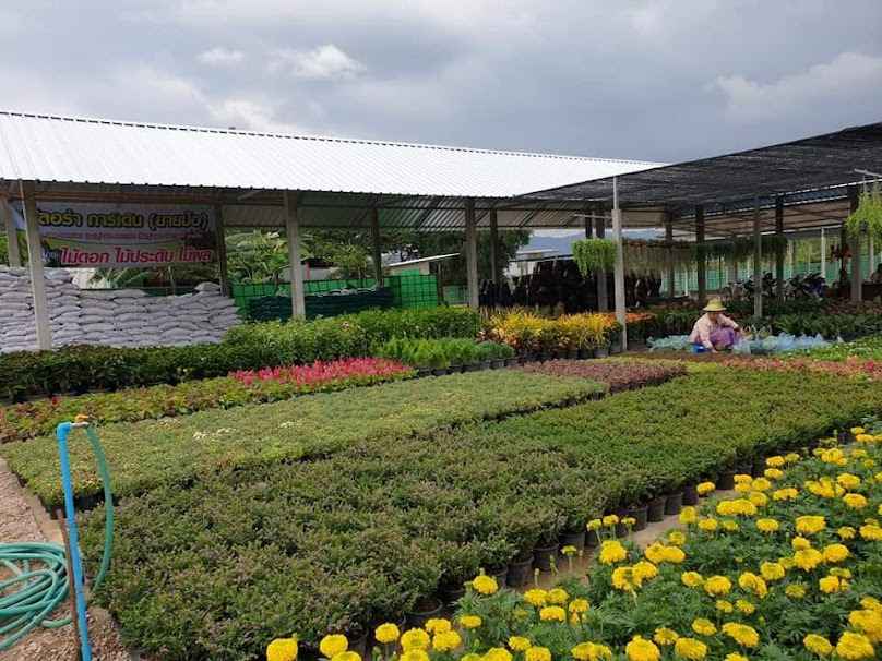 ฟลอร่า การ์เด้น แม่สอด,Flora Garden