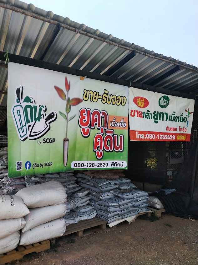 ฟลอร่า การ์เด้น แม่สอด,Flora Garden - 2